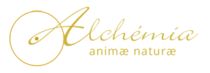 logo Alchémia Animae naturae